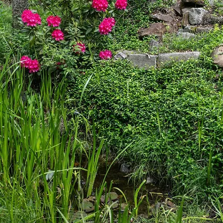Bed & Breakfast Panorama 3*