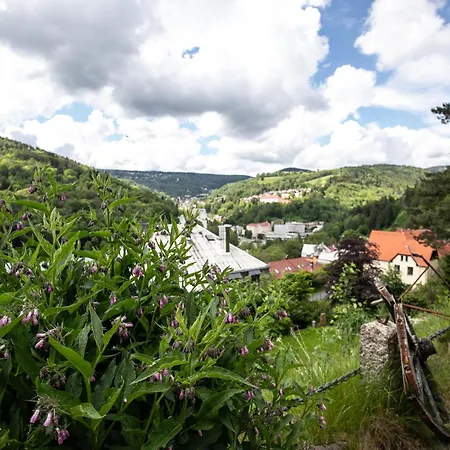 Panorama Bed & Breakfast 3*