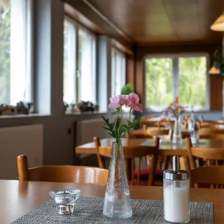 Panorama Couette-café Jáchymov