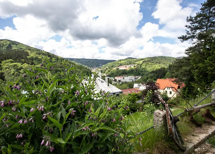 Panorama Nocleg ze śniadaniem 3*