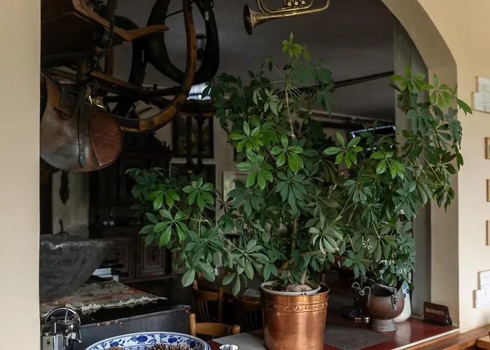 Panorama Отель типа 